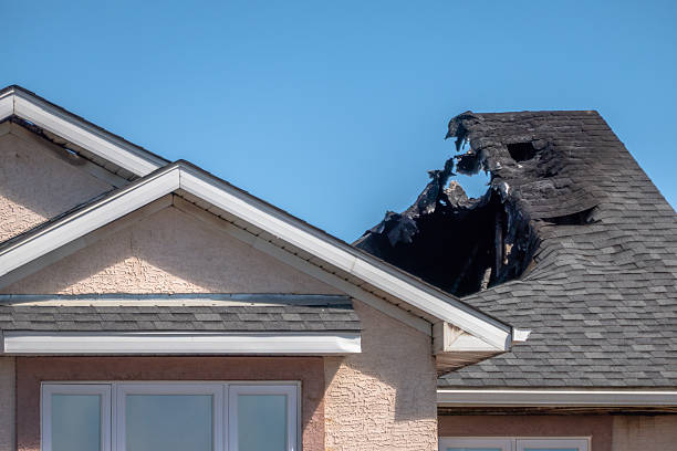 Top rated local Odor Removal specialists in Oreland, PA